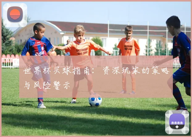 世界杯买球指南:资深玩家的策略与风险警示