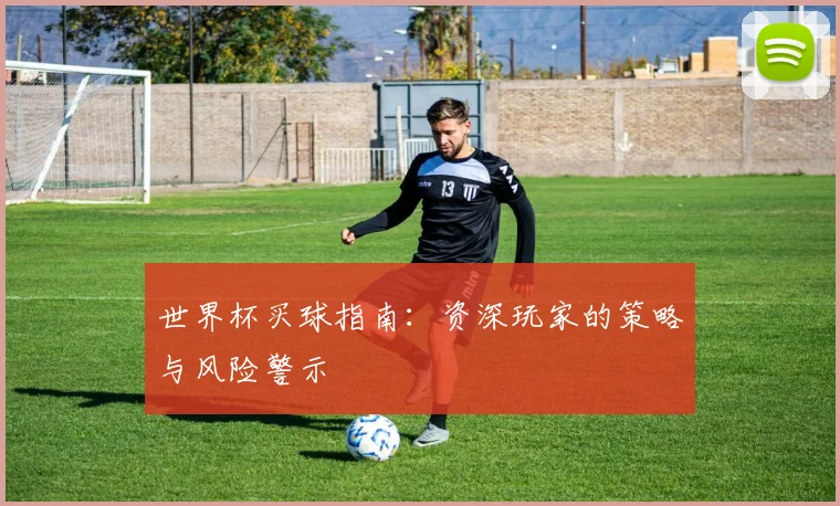 世界杯买球指南:资深玩家的策略与风险警示
