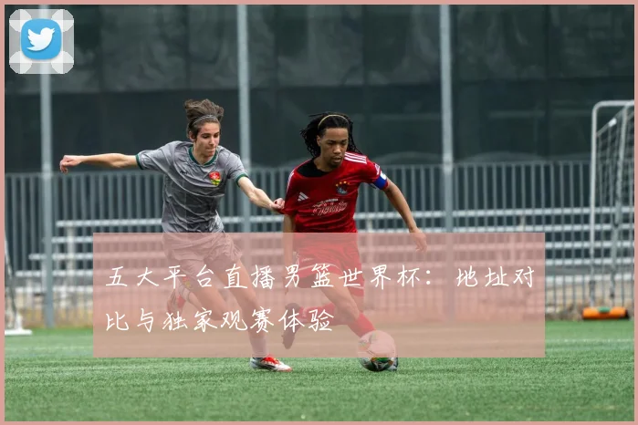 五大平台直播男篮世界杯:地址对比与独家观赛体验