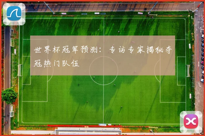 世界杯冠军预测：专访专家揭秘夺冠热门队伍