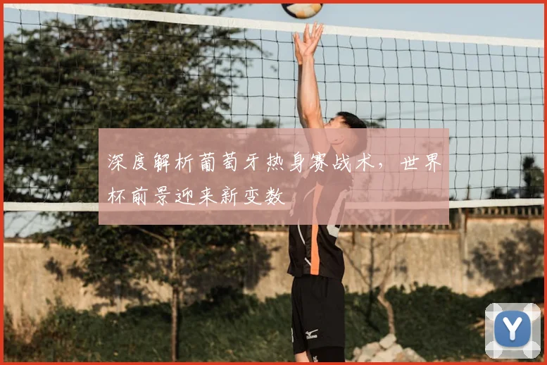 深度解析葡萄牙热身赛战术,世界杯前景迎来新变数