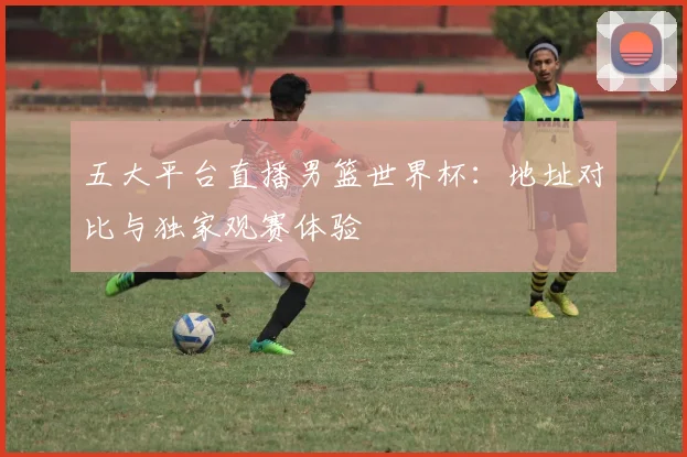 五大平台直播男篮世界杯:地址对比与独家观赛体验