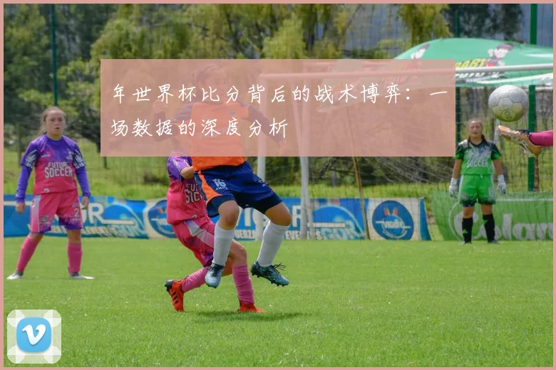 年世界杯比分背后的战术博弈：一场数据的深度分析