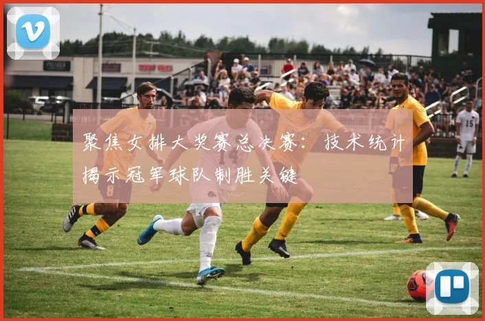 聚焦女排大奖赛总决赛：技术统计揭示冠军球队制胜关键